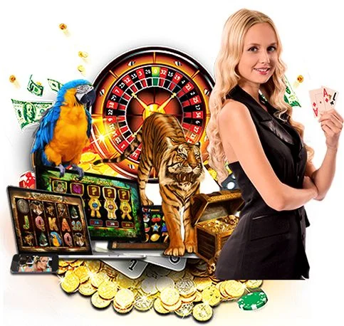 Nagabet99 • Pusat Statistik Online Dengan Data Terupdate Harian